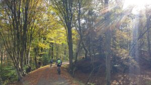 Saisonabschluss-MTB-20241026-4